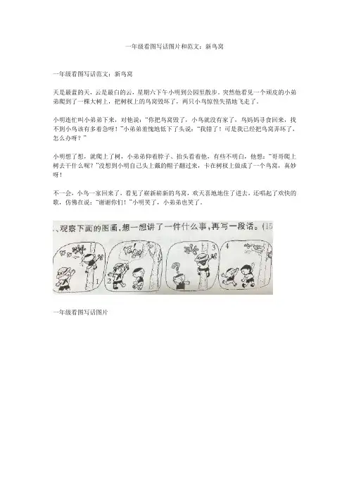 一年级看图写话图片和范文：新鸟窝