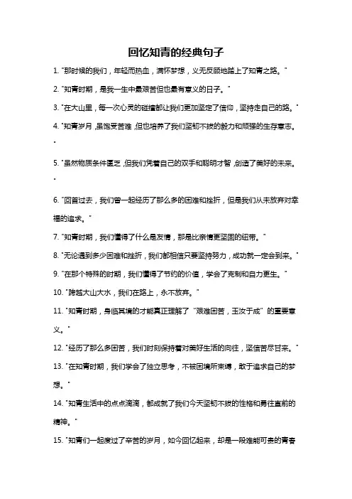 回忆知青的经典句子