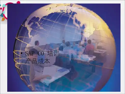 《ERPSAP成本管理》PPT课件