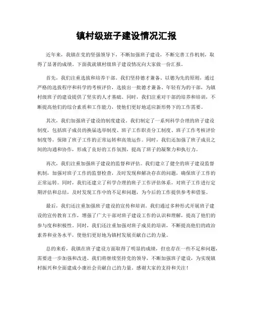 镇村级班子建设情况汇报