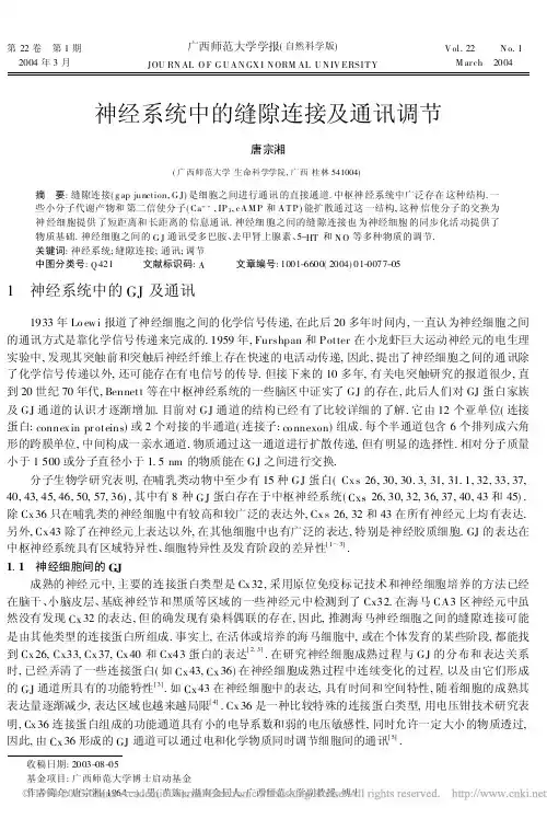神经系统中的缝隙连接及通讯调节