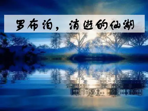 罗布泊消逝的仙湖PPT课件