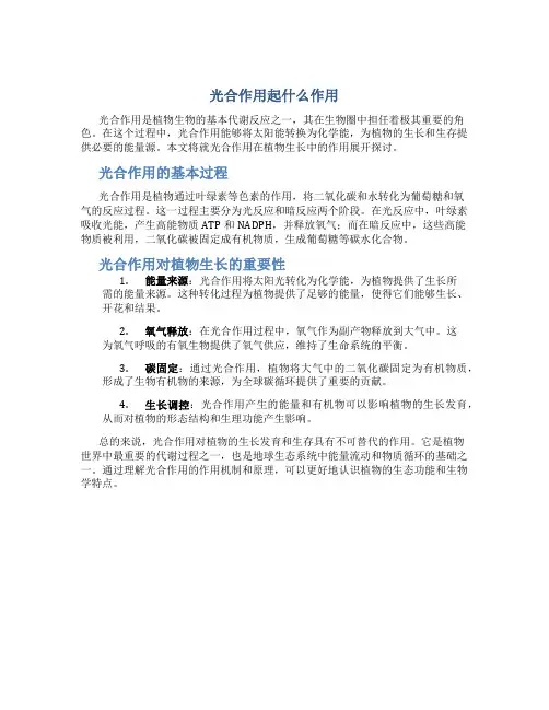 光合作用起什么作用