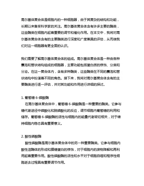 高尔基复合体含有的主要酶类高尔基复合体