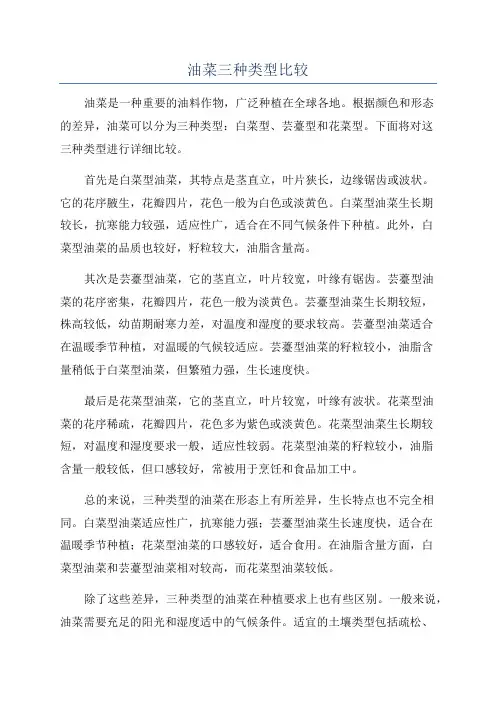 油菜三种类型比较