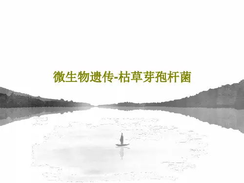 微生物遗传-枯草芽孢杆菌PPT共117页