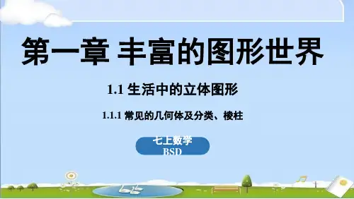 2024年秋新北师大版七年级上册数学教学课件 1.1 生活中的立体图形课时1
