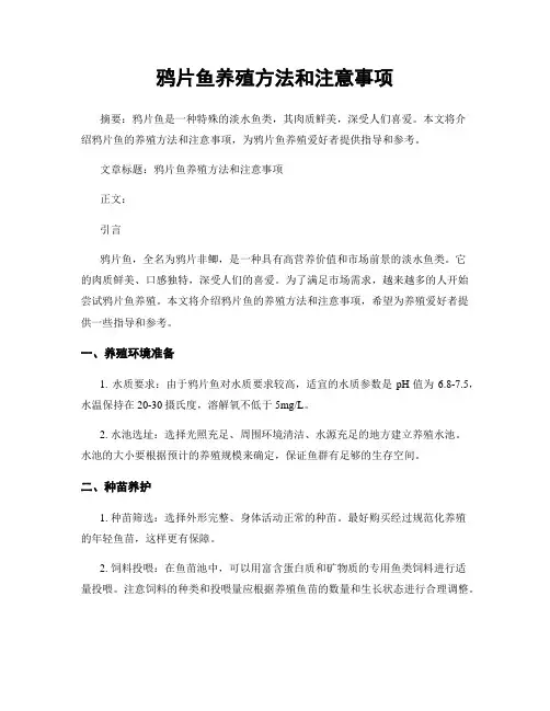 鸦片鱼养殖方法和注意事项