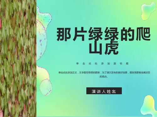 人教版四年级语文那片绿绿的爬山虎