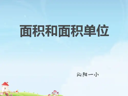 《面积和面积单位》(完美版)PPT课件5