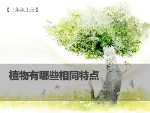 《植物的共同特点》植物PPT下载【精选推荐课件】