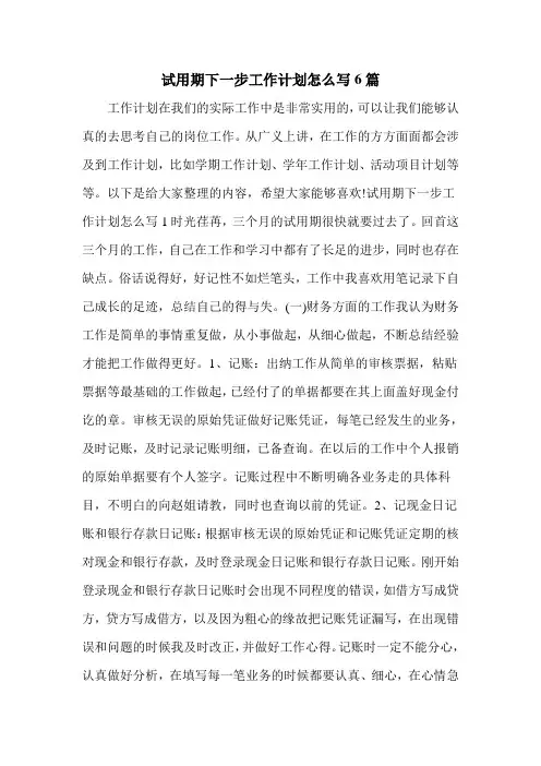 试用期下一步工作计划怎么写6篇