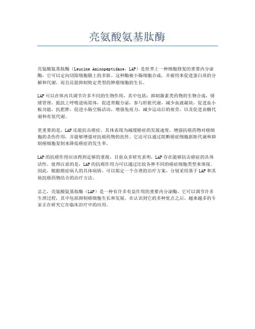亮氨酸氨基肽酶