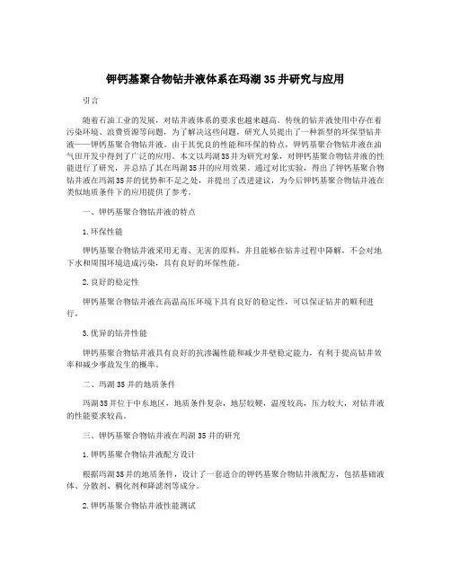 钾钙基聚合物钻井液体系在玛湖35井研究与应用
