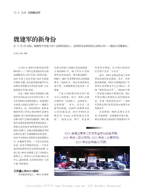 魏建军的新身份