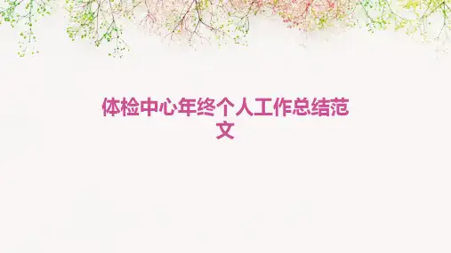 体检中心年终个人工作总结范文PPT