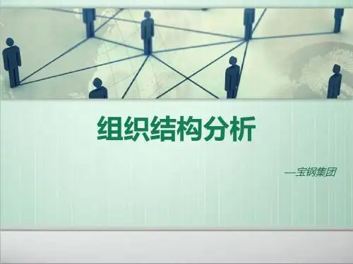宝钢集团组织结构分析