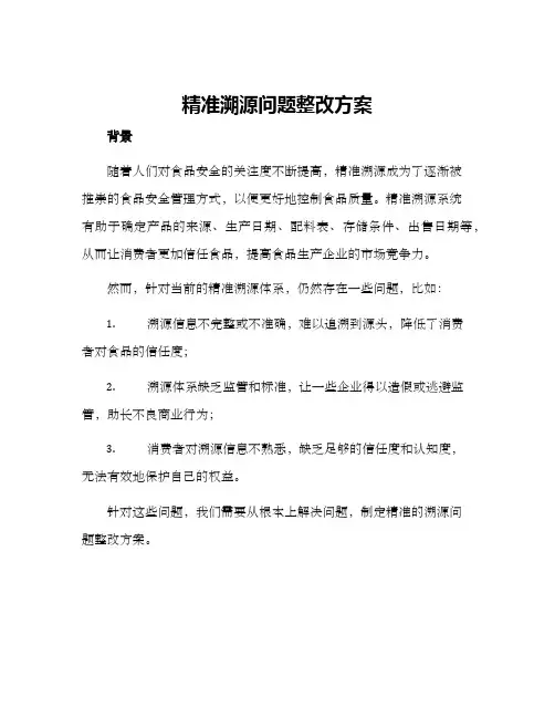 精准溯源问题整改方案