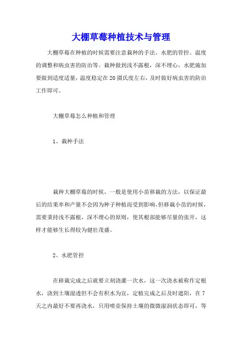 大棚草莓种植技术与管理