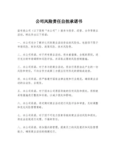 公司风险责任自担承诺书