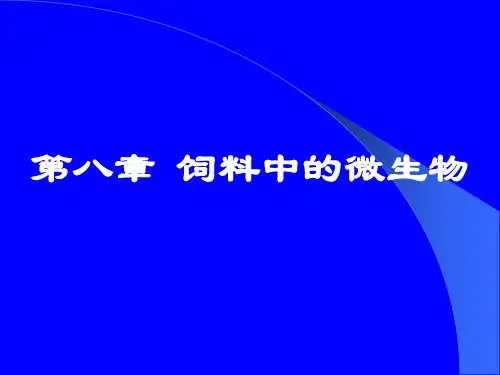 饲料微生物