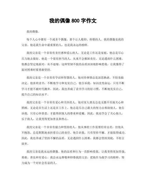 我的偶像800字作文