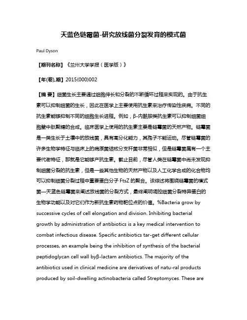 天蓝色链霉菌-研究放线菌分裂发育的模式菌