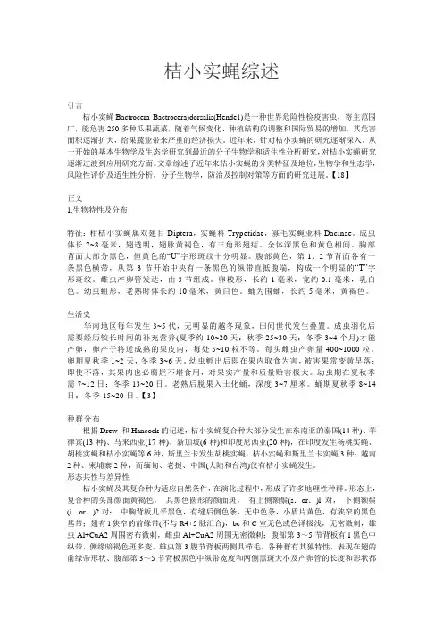 桔小实蝇
