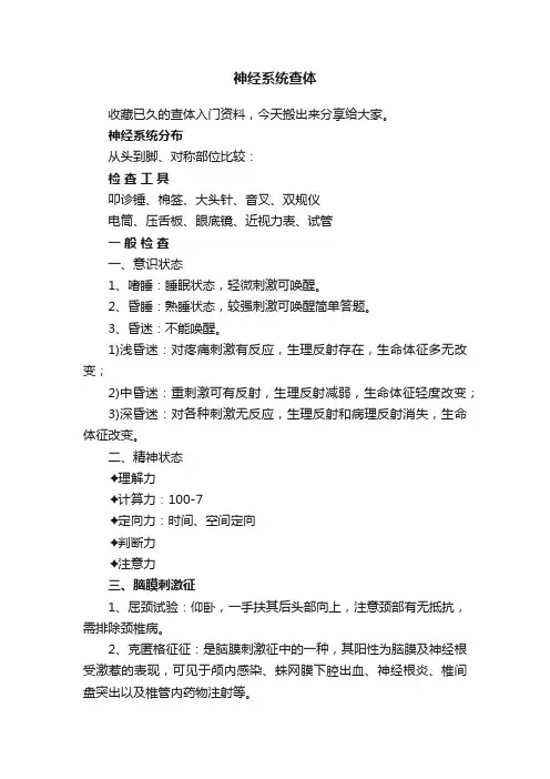 神经系统查体