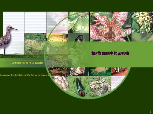 细胞中的无机物ppt课件