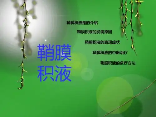 鞘膜积液