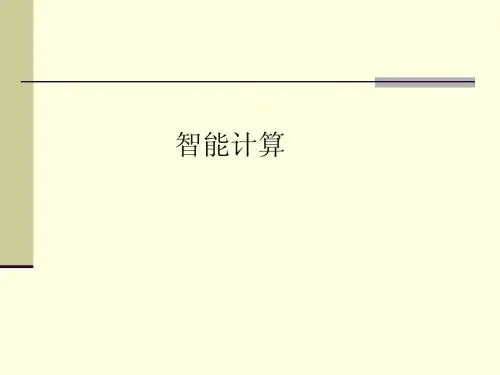 智能计算简介
