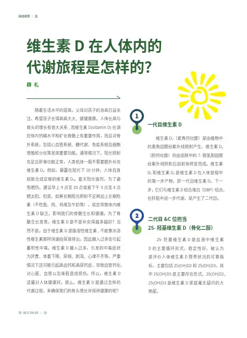 维生素D在人体内的代谢旅程是怎样的？
