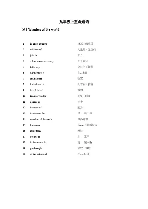 外研版九年级上短语总结