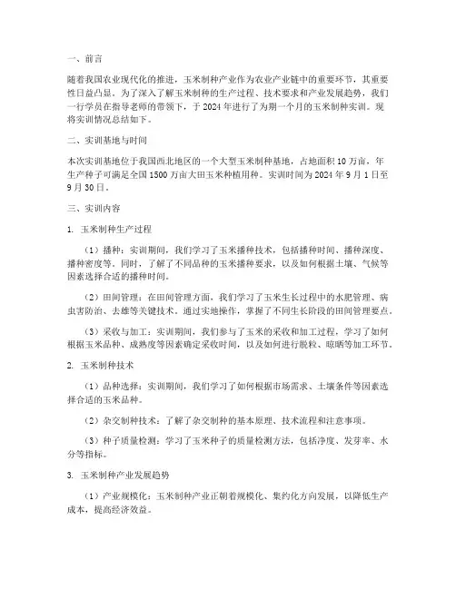 玉米制种实训总结报告