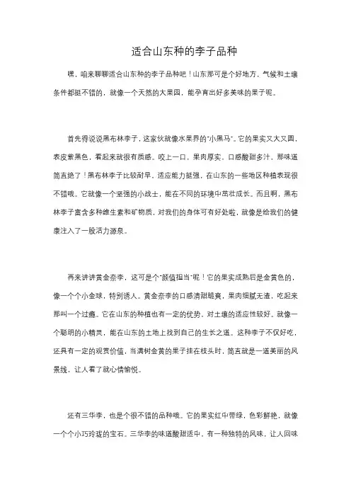 适合山东种的李子品种