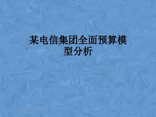 某电信集团全面预算模型分析