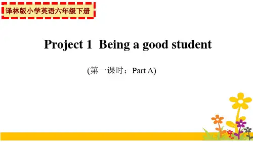 江苏南京译林版六年级英语下册Project1全部课件(共3课时,区一等奖)
