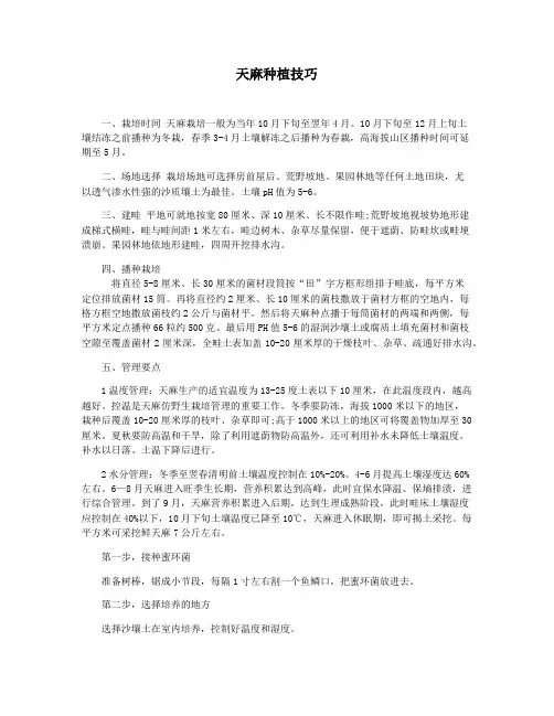 天麻种植技巧