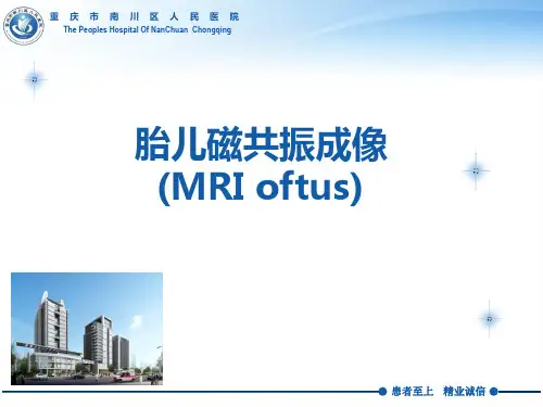 胎儿MRIPPT课件