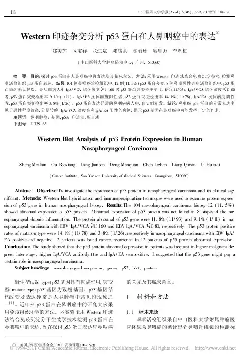 Western印迹杂交分析p53蛋白在人鼻咽癌中的表达