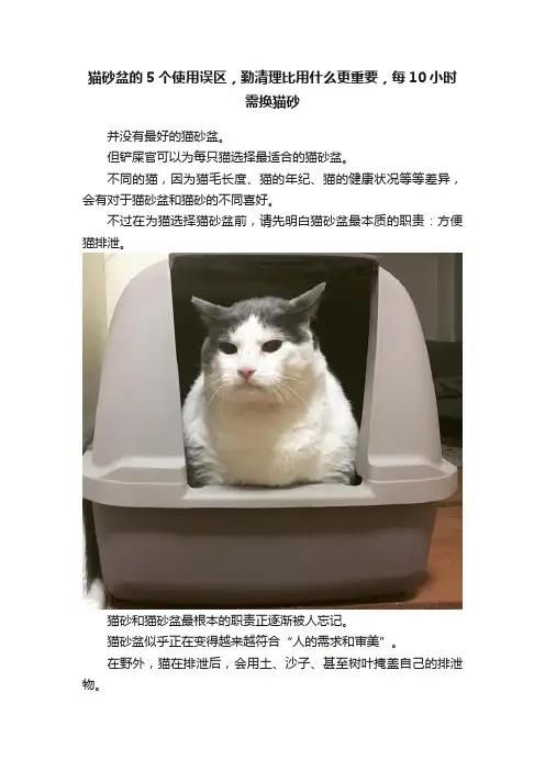 猫砂盆的5个使用误区，勤清理比用什么更重要，每10小时需换猫砂