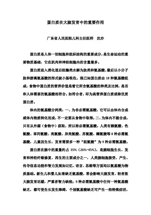 蛋白质在大脑发育中的重要作用