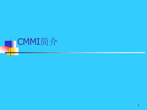 CMMI基础简介
