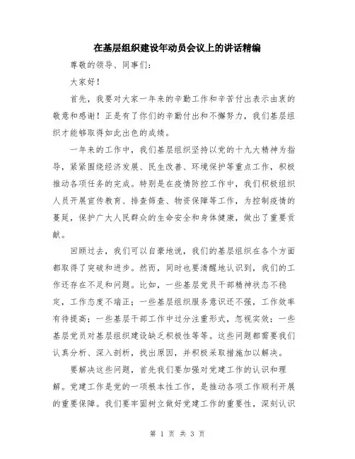 在基层组织建设年动员会议上的讲话精编