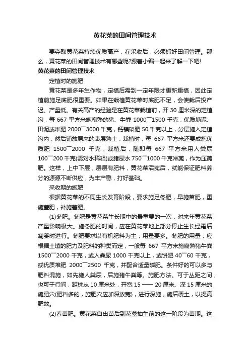 黄花菜的田间管理技术