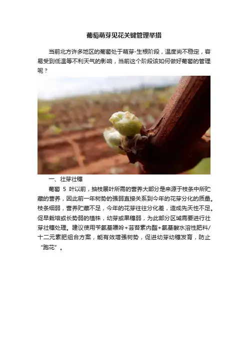 葡萄萌芽见花关键管理举措