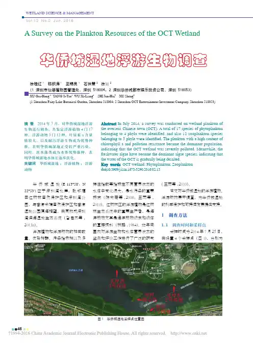 华侨城湿地浮游生物调查