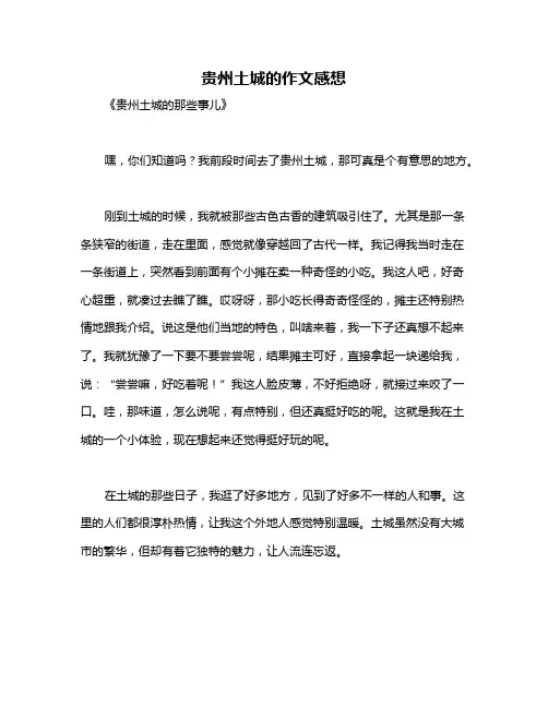 贵州土城的作文感想