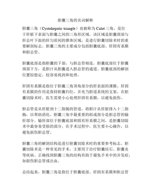 胆囊三角的名词解释